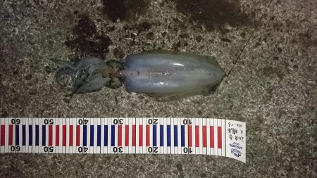 水温が安定してるので行って来ました。