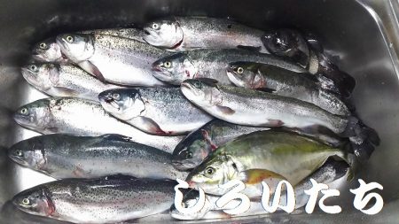 水宝さんにお世話になりました。