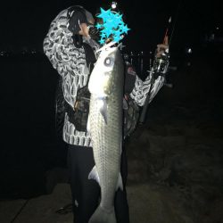 ロックフィッシュ