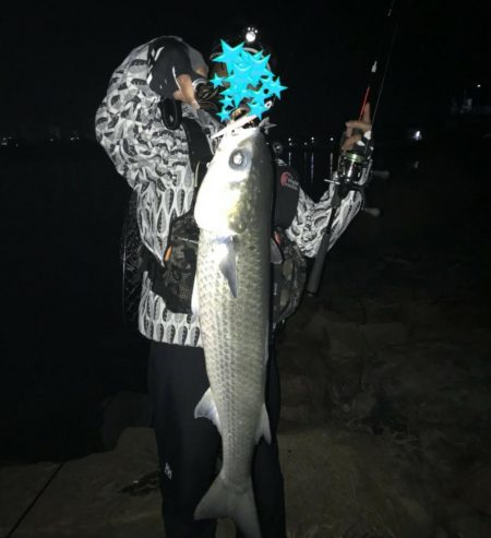 ロックフィッシュ