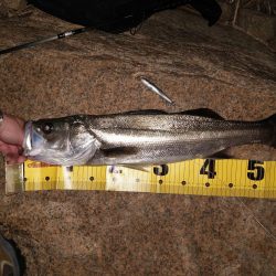 苦手の潮で挑戦