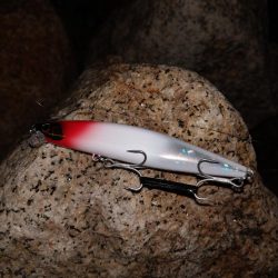 アレは何っだたのか?