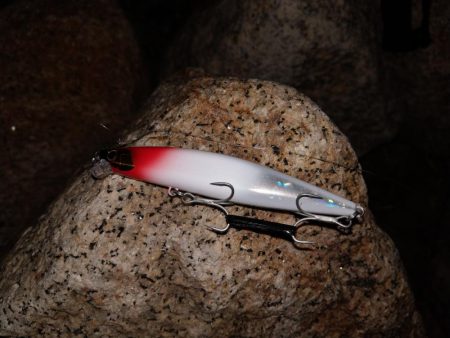 アレは何っだたのか?