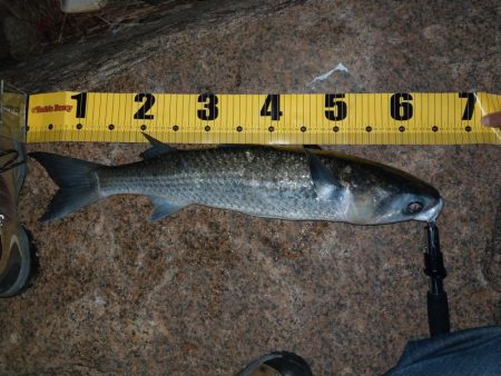 本命は釣れなくてもキミは釣れるよね!?