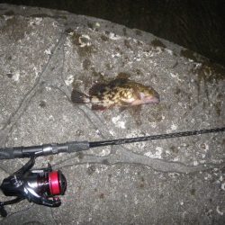 カサゴ釣り