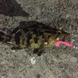 天保山、ボトムゲームでつ抜け達成！