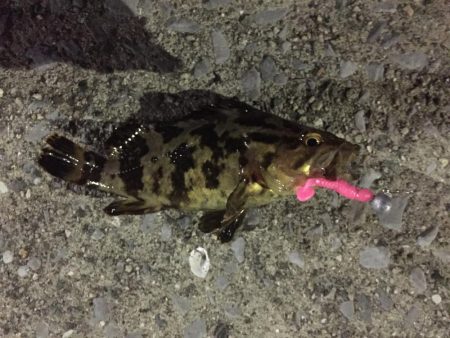 天保山、ボトムゲームでつ抜け達成！