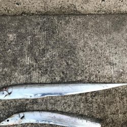 2度目のドラゴン