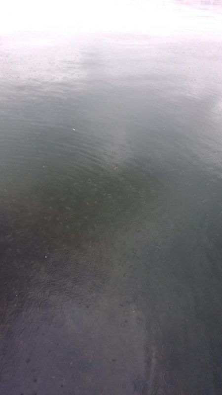 不定期開催サゴシ祭りに参加