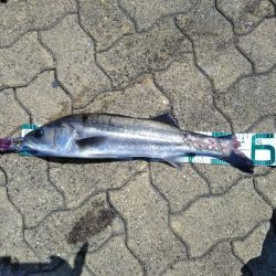 今日もマルチ安打♪♪