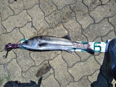 今日もマルチ安打♪♪