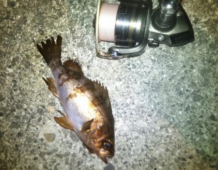 急激に訪れた寒さの中……