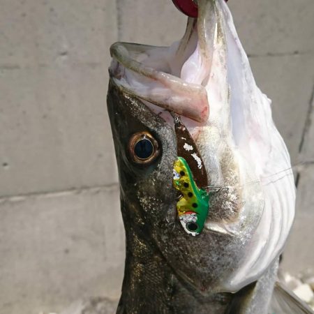 仕事前にちょろっと