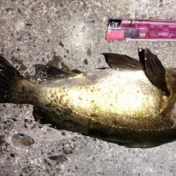 天候不良の前に