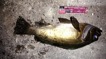 天候不良の前に