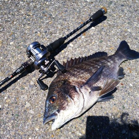 ソルトベイトフィネス