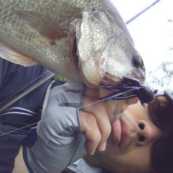 高山ダム釣れ始めています