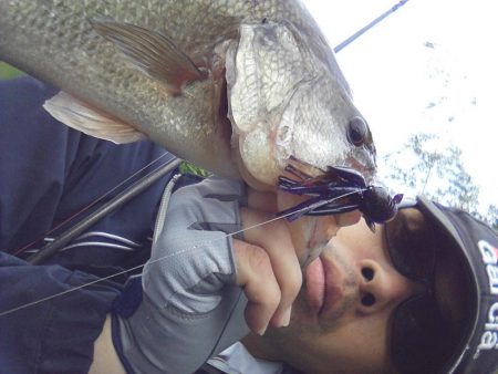 高山ダム釣れ始めています