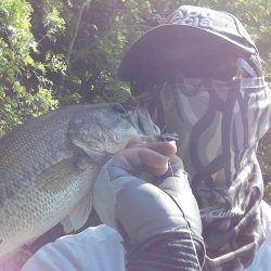 ４月２９日の釣果