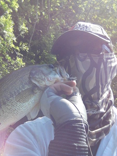 ４月２９日の釣果