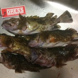 ボトムアタッカー