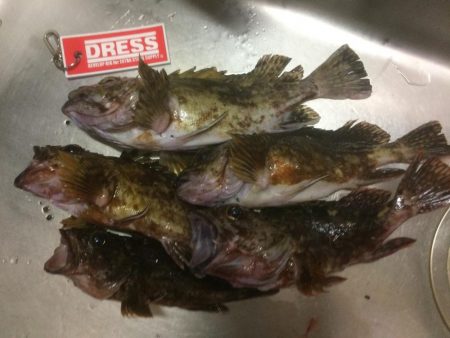 ボトムアタッカー