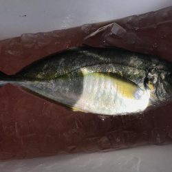 田尻の釣堀で。