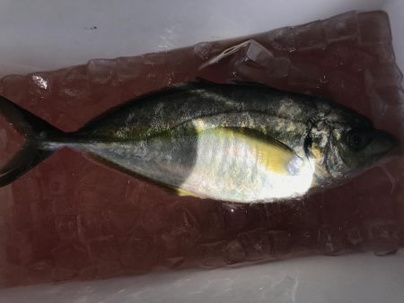 田尻の釣堀で。