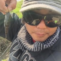 多摩川で沼チチブが沢山釣れました。