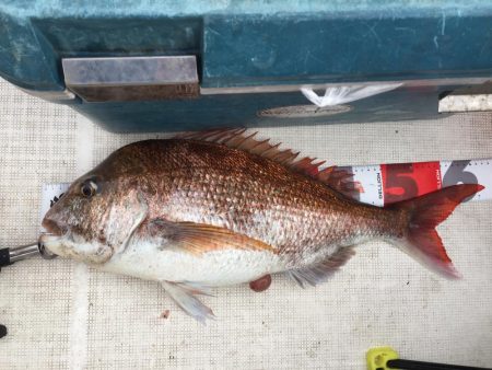 水温も上がってきて活性高まる。