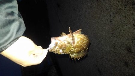 GWのメバリング