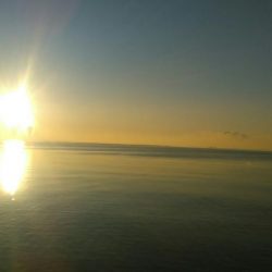 まさに朝まづめ