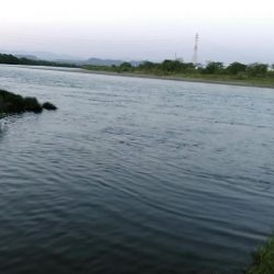 バスロッドで大鯉