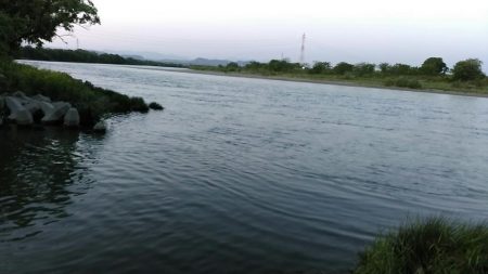 バスロッドで大鯉