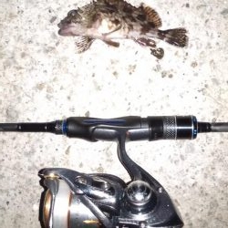 パイセン接待メバリング当日やのに！？