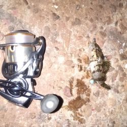 タケノコ狩り♪