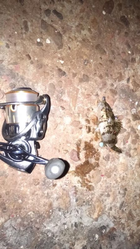 タケノコ狩り♪