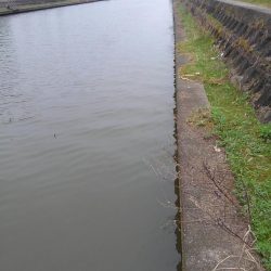 クランク巻き巻き