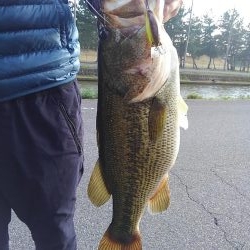 ぐりぐりダブル巻き巻き~