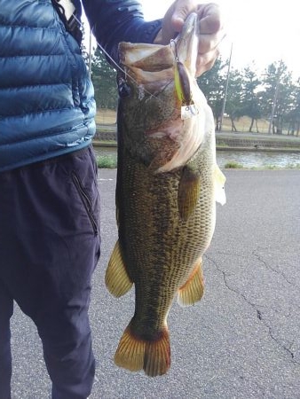 ぐりぐりダブル巻き巻き~