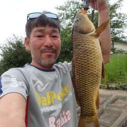 コメ式 パン鯉ゲーム