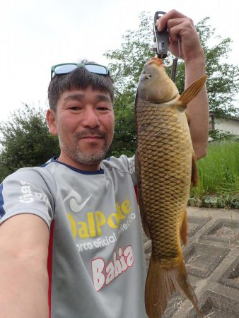 コメ式 パン鯉ゲーム