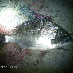 小磯でウキフカセ