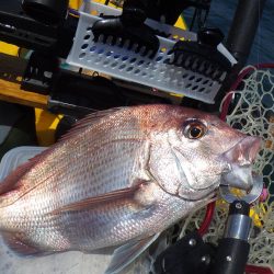 マイカヤック タイラバ