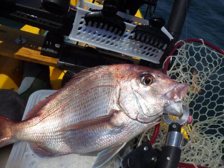 マイカヤック タイラバ