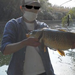 カープフィッシィング