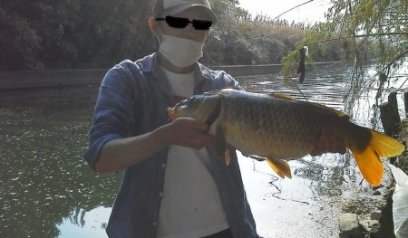 カープフィッシィング