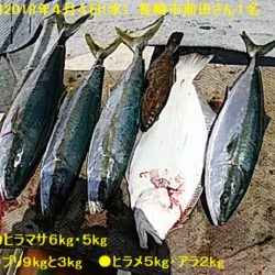 大物釣果速報！●光義丸：平戸市早福港