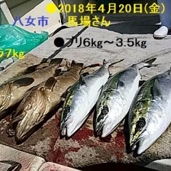 大物釣果速報！●光義丸：平戸市早福港