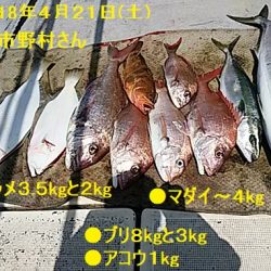 大物釣果速報！●光義丸：平戸市早福港